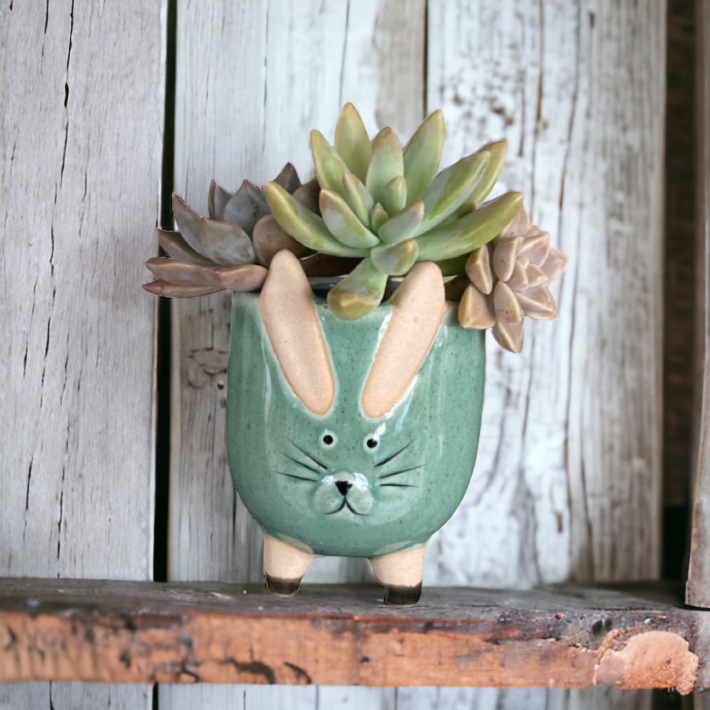 Plant Pot Planter Rabbit Greenery - The Renmy Store Homewares & Gifts 