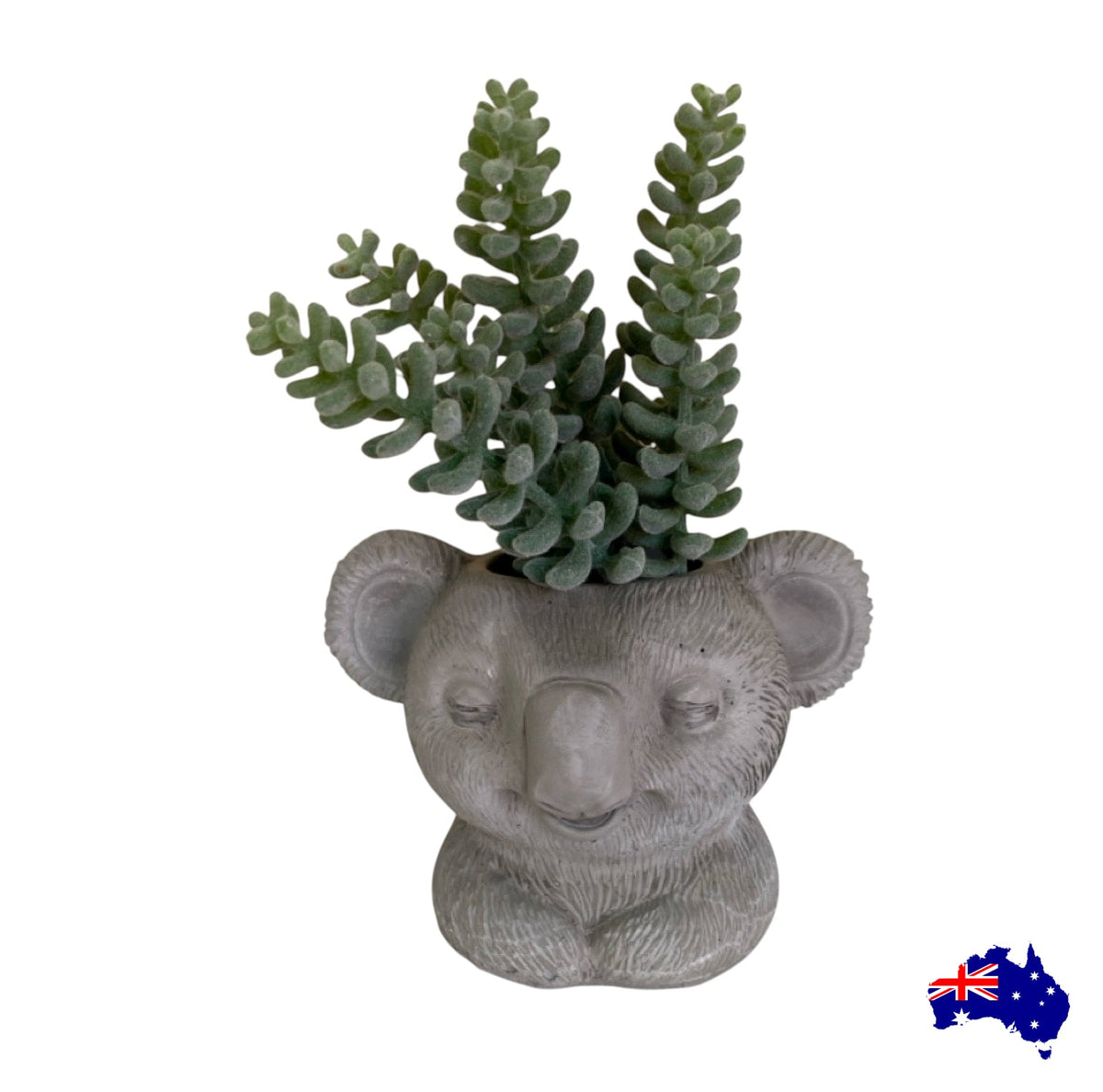 Koala Planter Vase | Handmade Concrete Aussie Made Australian Wildlife Decor