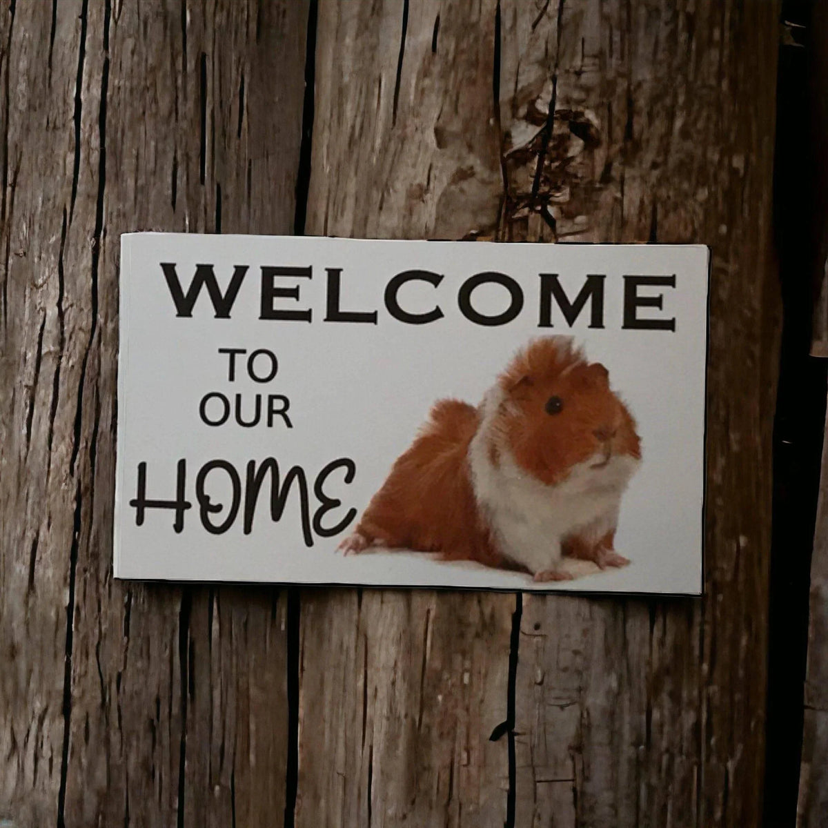 Welcome To Our Home Cute Guinea Pig Sign - The Renmy Store Homewares & Gifts