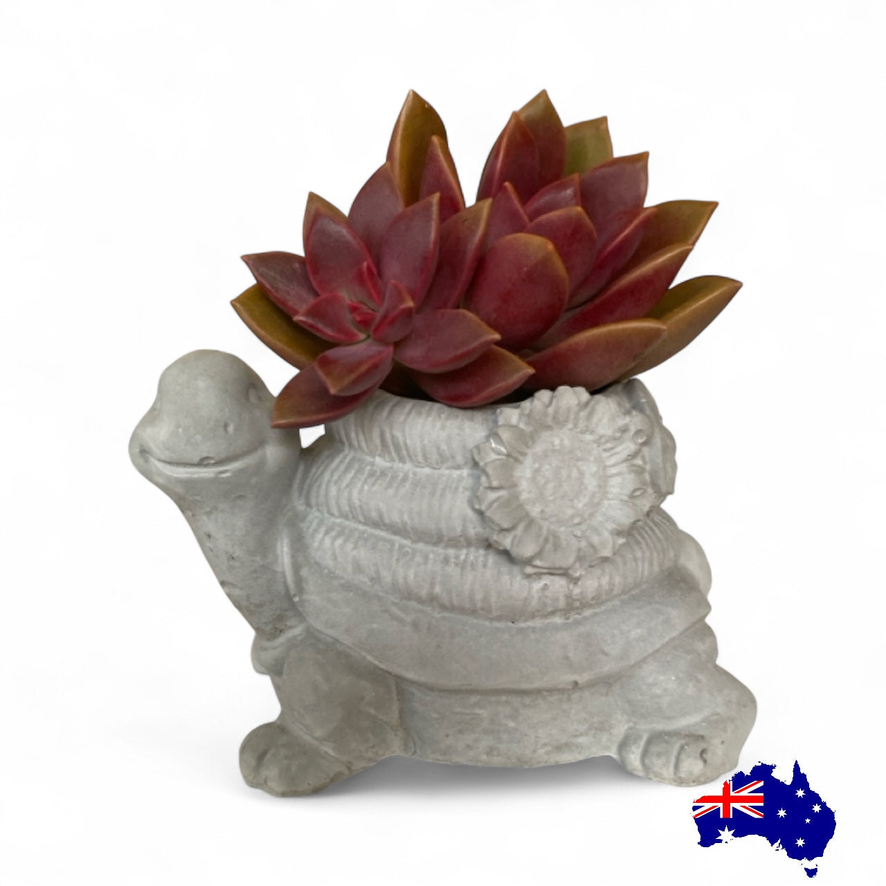 Planter Pot Turtle Coastal Aussie Handmade Concrete
