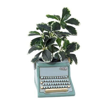 Writer Blue Funky Pot Plant Large - The Renmy Store Homewares & Gifts