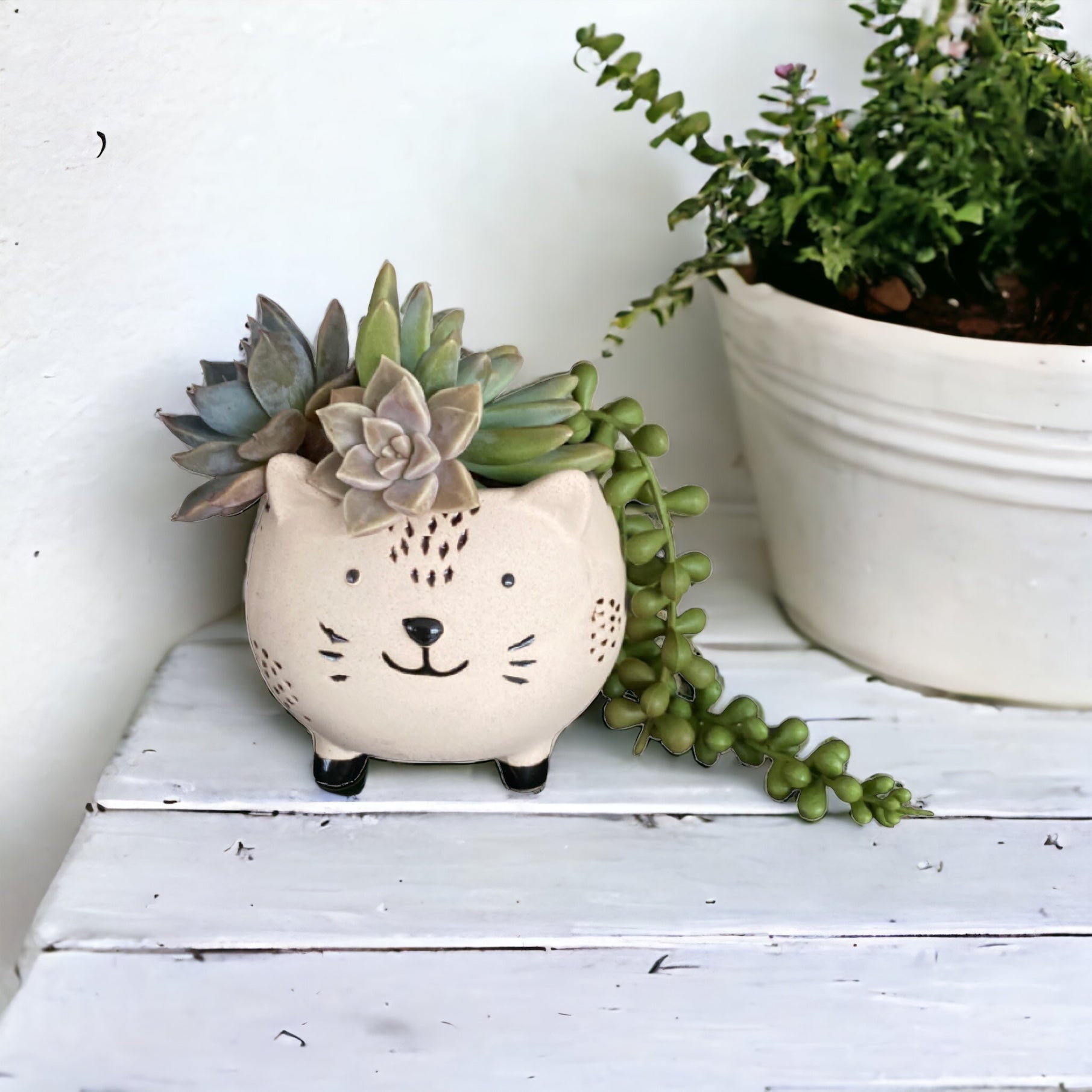 Plant Pot Planter Cat Katie - The Renmy Store Homewares & Gifts 