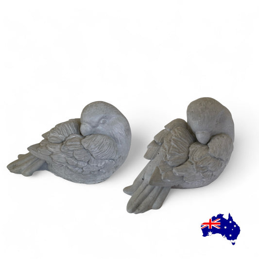 Bird Love Parrot Aussie Handmade Concrete