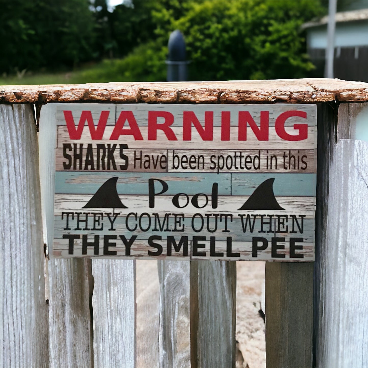 Warning Sharks Pool Funny Sign - The Renmy Store Homewares & Gifts 