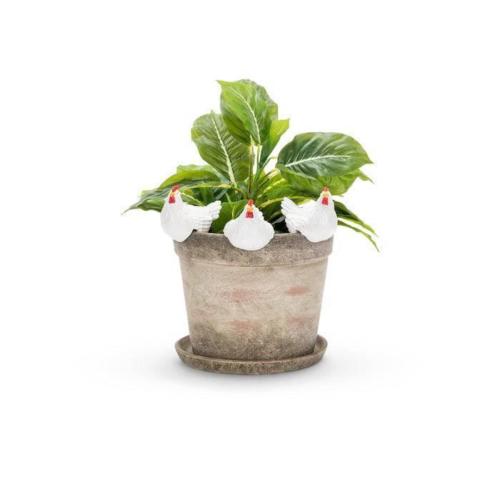 Chicken Hen Pot Sitter Hanger Planter Set of 3 White Large - The Renmy Store Homewares & Gifts