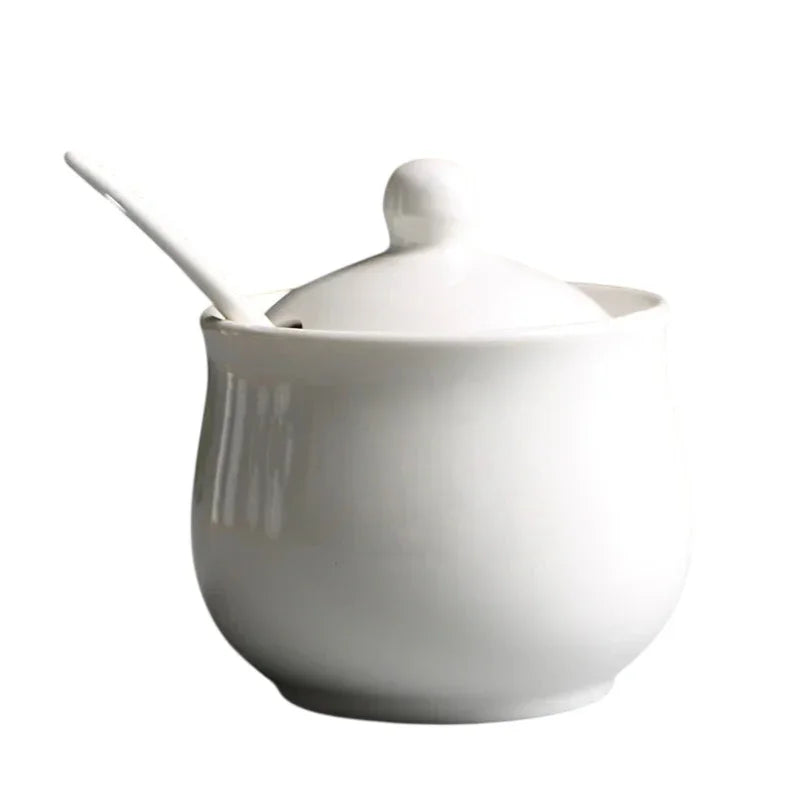 Container Jar Salt Seasonings Storage Ceramic