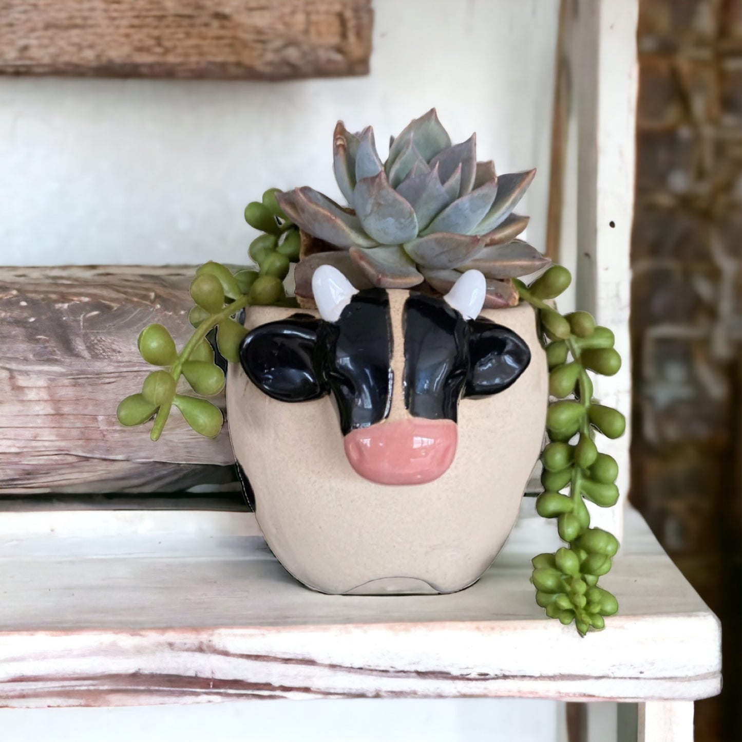 Plant Pot Planter Farmhouse Cow - The Renmy Store Homewares & Gifts 