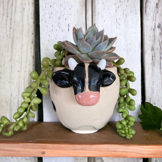 Plant Pot Planter Farmhouse Cow - The Renmy Store Homewares & Gifts 