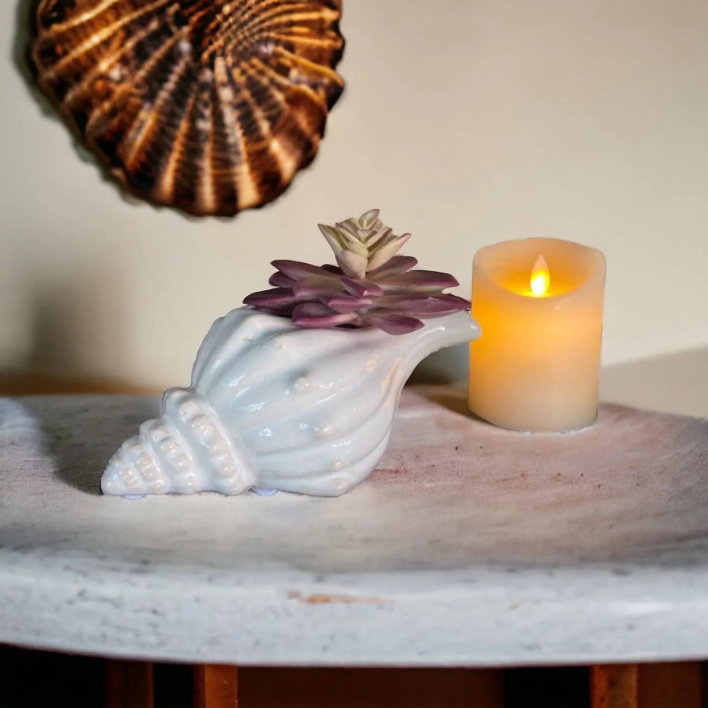Shell Beach Ocean Planter Pot - The Renmy Store Homewares & Gifts
