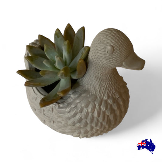 Planter Pot Duck Aussie Handmade Concrete