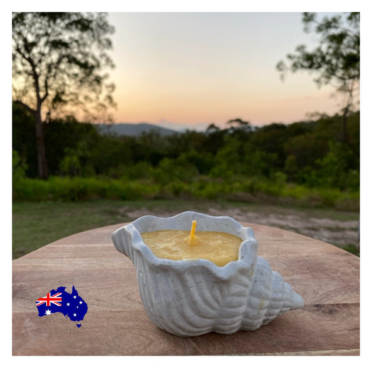 Pure Beeswax Shell Candle Set of 2 Coastal Aussie Handmade