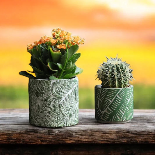 Pot Planter Natural Fern Leaf Rustic Garden - The Renmy Store Homewares & Gifts