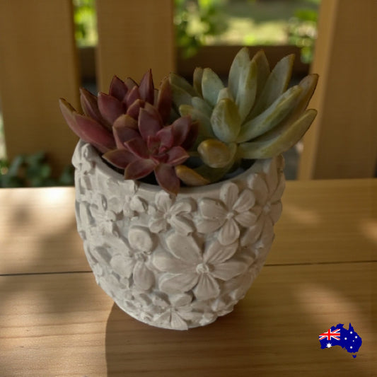 Planter Pot Toothbrush Holder Flower Aussie Handmade Concrete