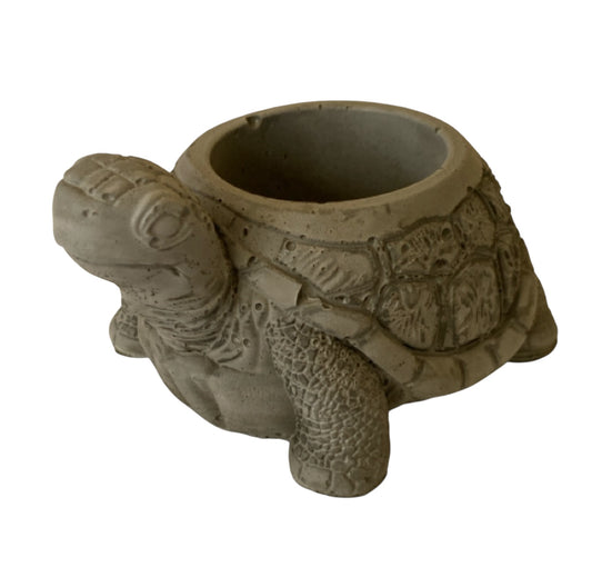 Planter Pot Turtle Coastal Aussie Handmade Concrete