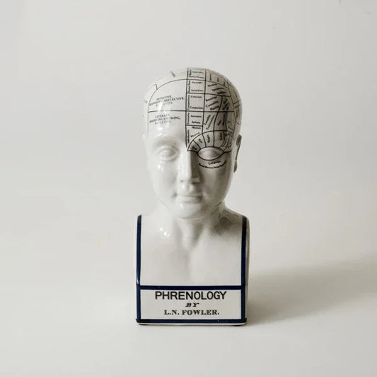 Phreno Phrenology Head Human Retro Vintage Ornament