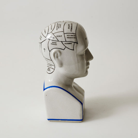 Phreno Phrenology Head 22cm Human Retro Vintage Ornament