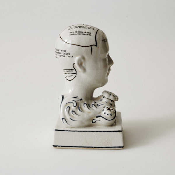Phreno Phrenology Head Scroll Human Retro Vintage Ornament