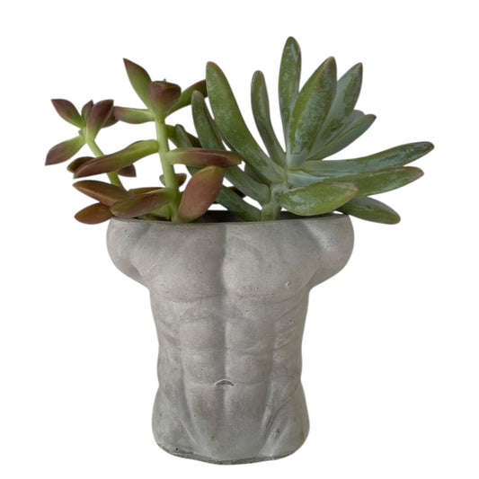 Planter Pot Man Bod Aussie Handmade Concrete