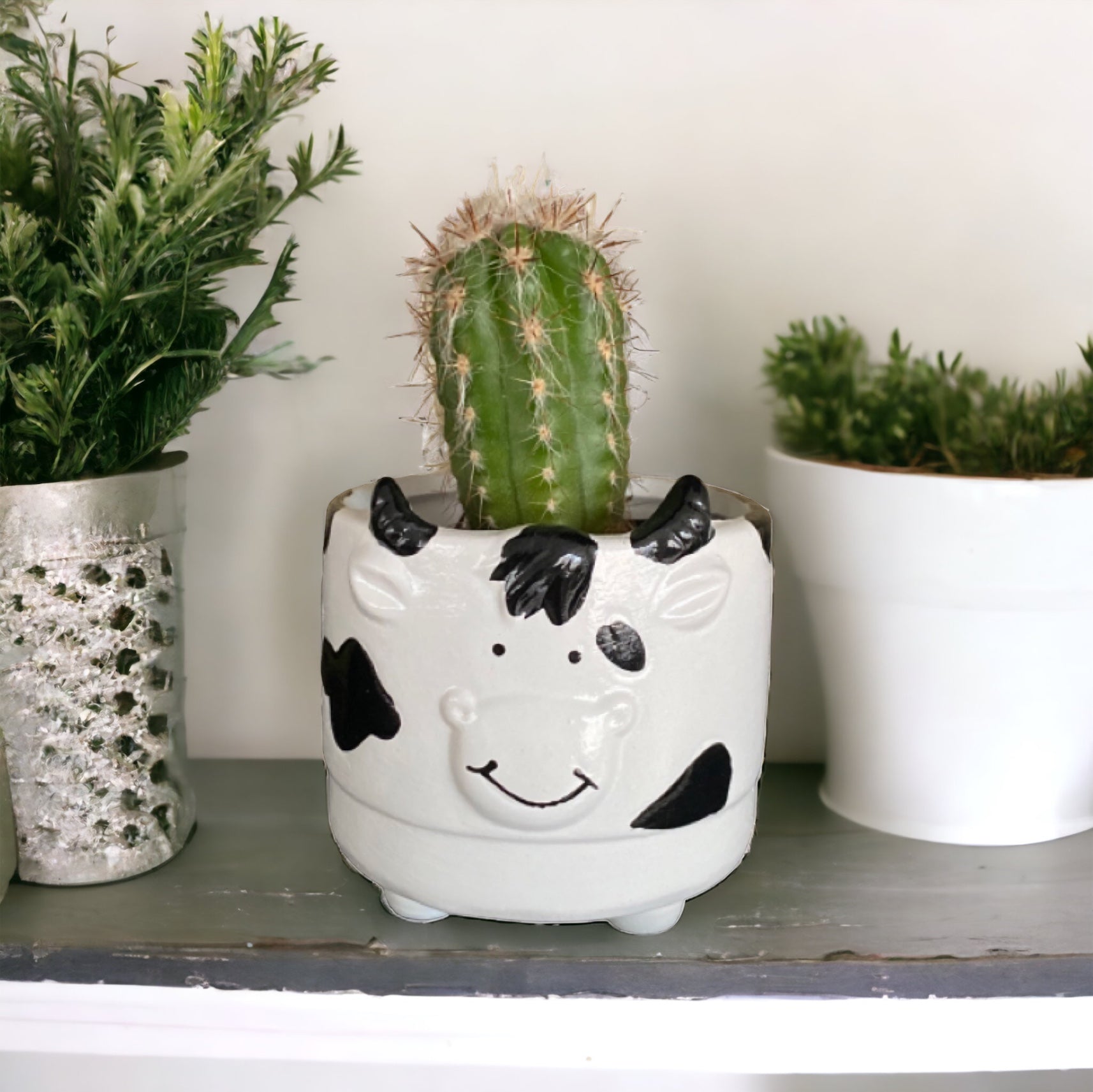 Plant Pot Planter Cow Moo - The Renmy Store Homewares & Gifts 