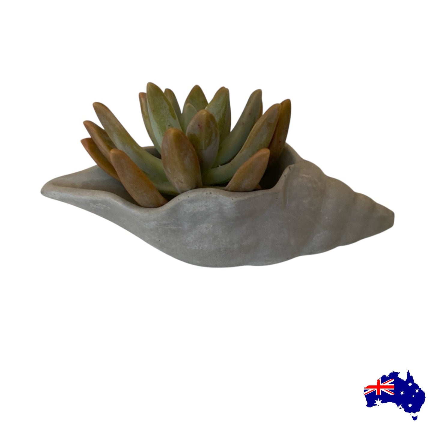 Planter Pot Shell Long Aussie Handmade Concrete
