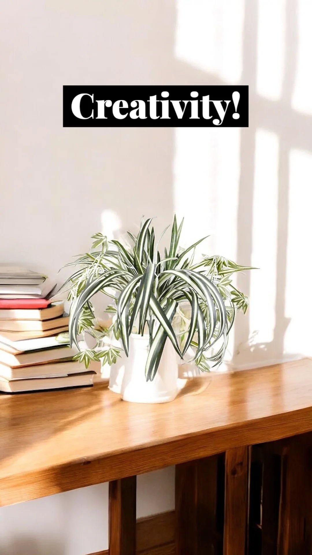 Spider Plant Greenery Artificial Home Decoration