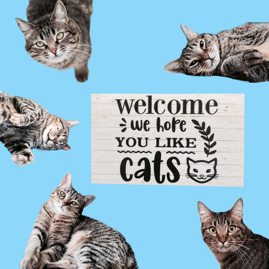 Welcome We Hope You Like Cats Sign - The Renmy Store Homewares & Gifts
