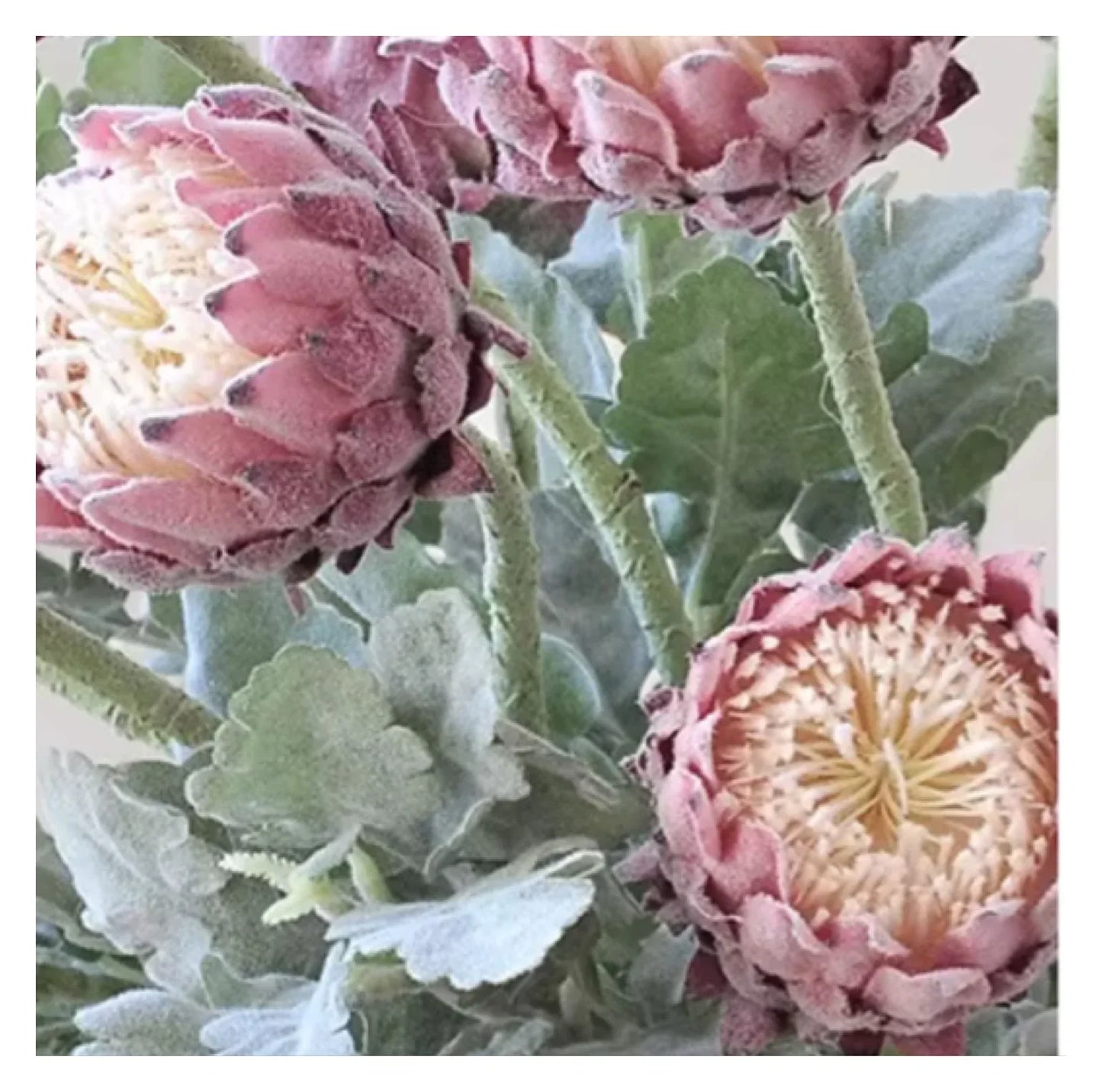 Artificial Protea Faux Flower 64cm