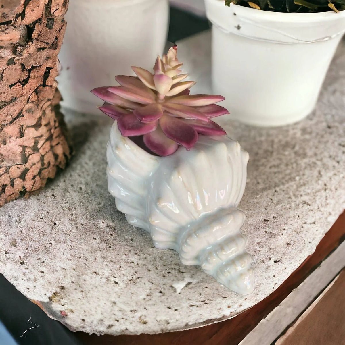 Shell Beach Ocean Planter Pot - The Renmy Store Homewares & Gifts