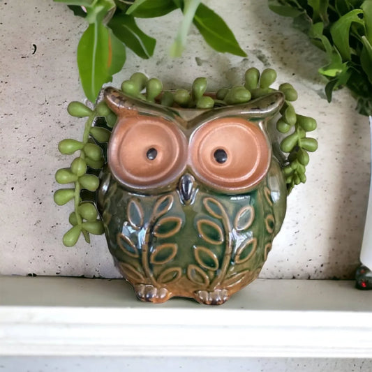 Plant Pot Planter Owl Green - The Renmy Store Homewares & Gifts