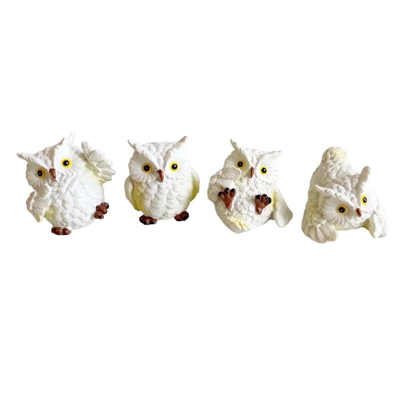 Owl Set of 4 Cheeky Birds - The Renmy Store Homewares & Gifts