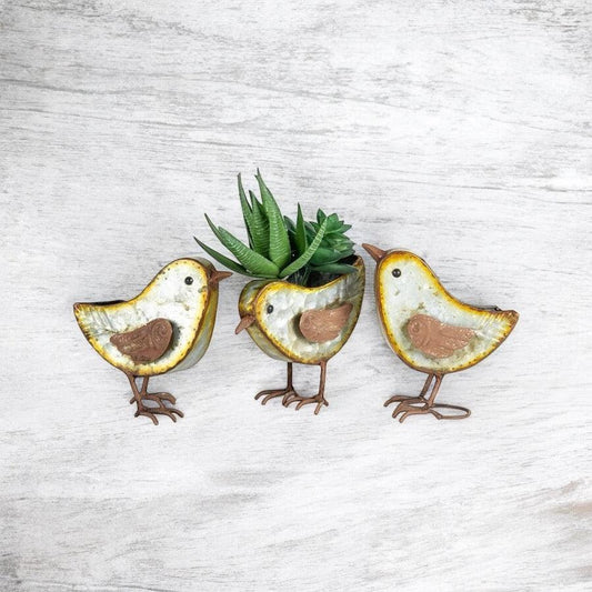 Planter Pot Plant Rustic Bird Birds Set of 3 - The Renmy Store Homewares & Gifts