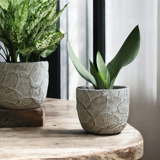Planter Pot Rustic Garden Leaves - The Renmy Store Homewares & Gifts