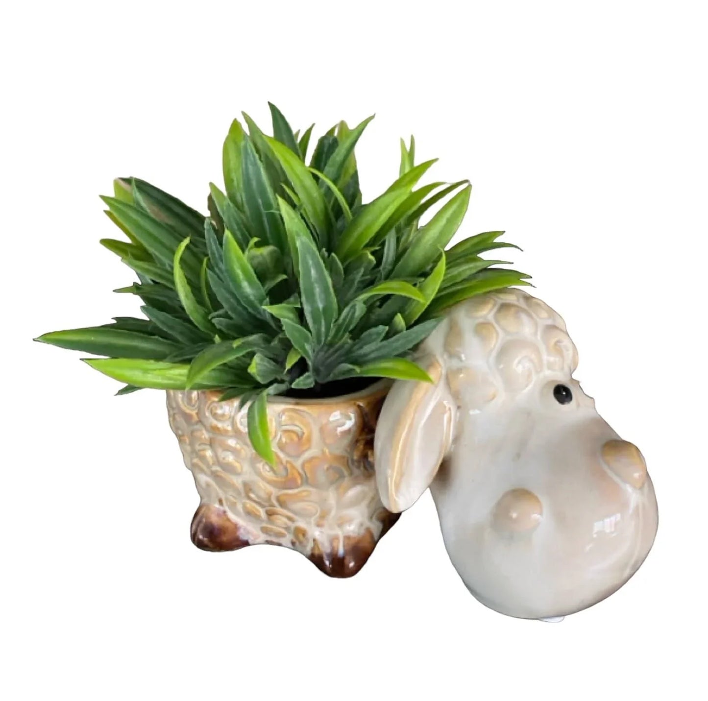Sheep Country Pot Plant Garden - The Renmy Store Homewares & Gifts