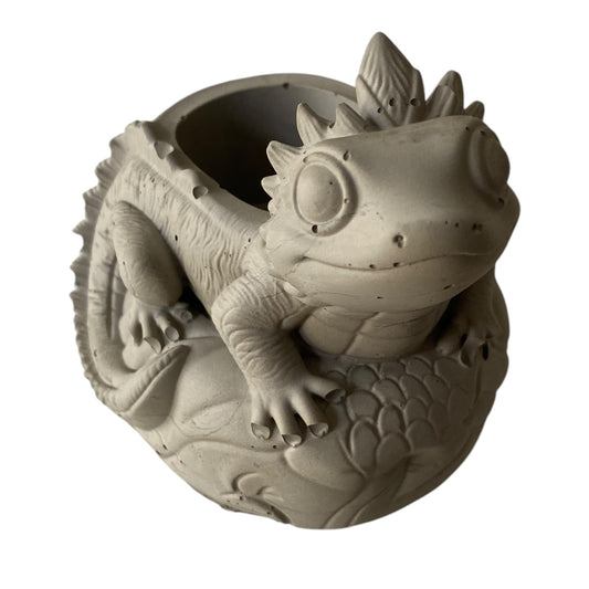 Lizard Planter Pot | Handmade Concrete Succulent Planter | Aussie Made