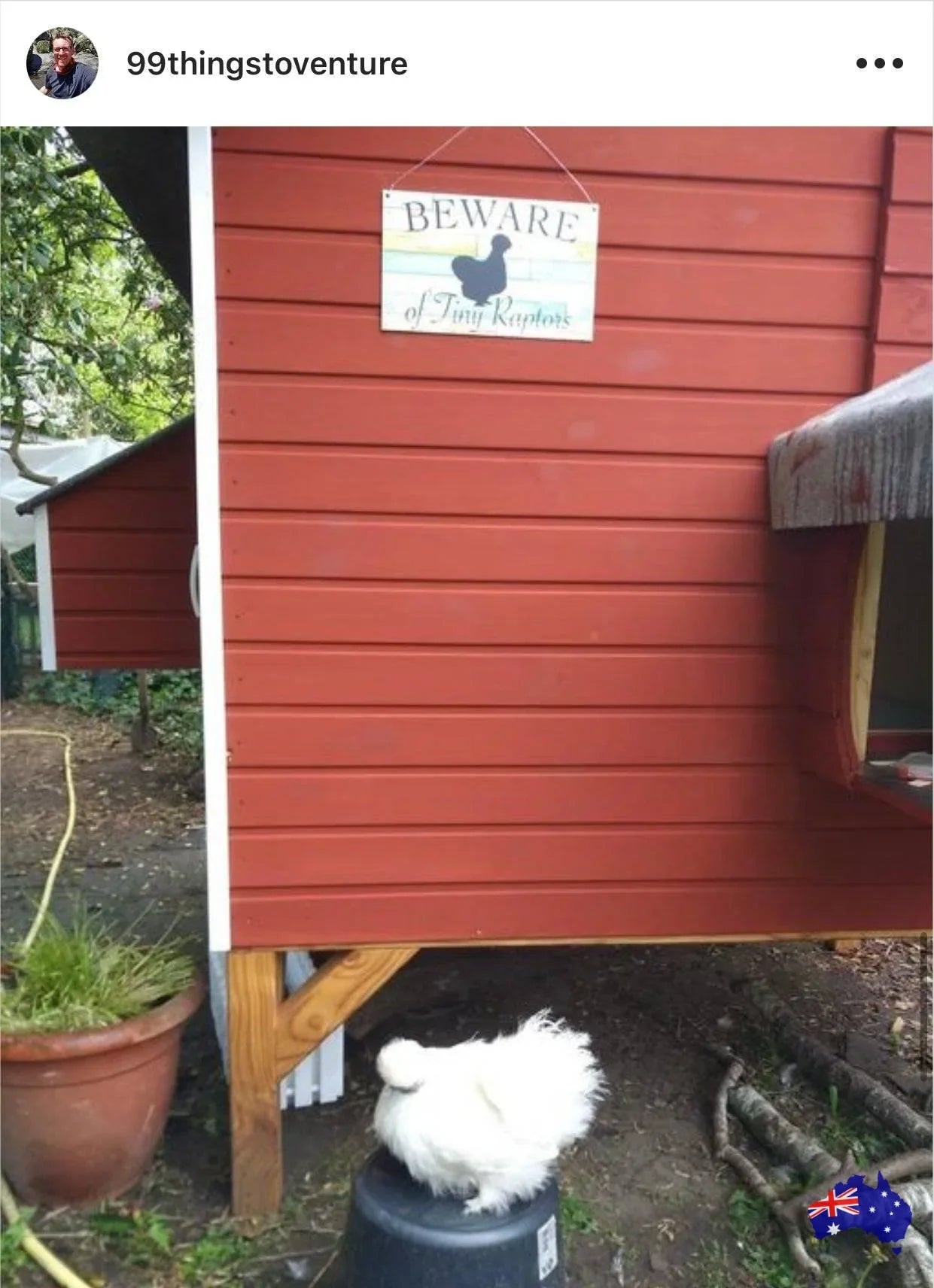 Beware Of Tiny Raptors Blue Silkie Chicken Sign - The Renmy Store Homewares & Gifts