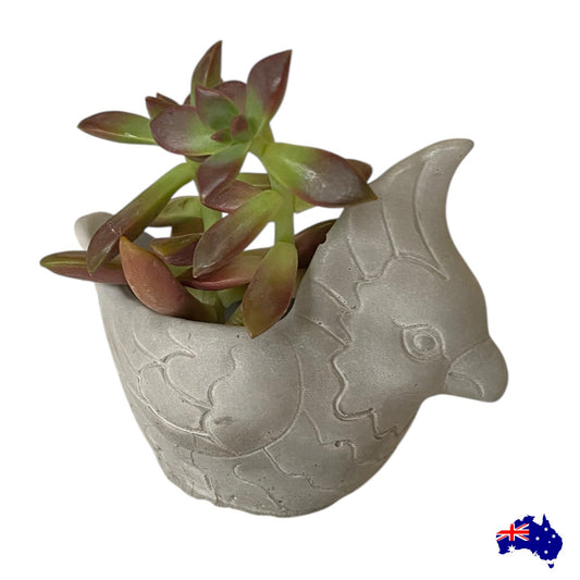 Planter Pot Bird Parrot Aussie Handmade Concrete