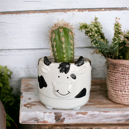 Plant Pot Planter Cow Moo - The Renmy Store Homewares & Gifts 