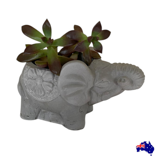 Elephant Love Planter Pot | Handmade Concrete Romantic Aussie Made Decor