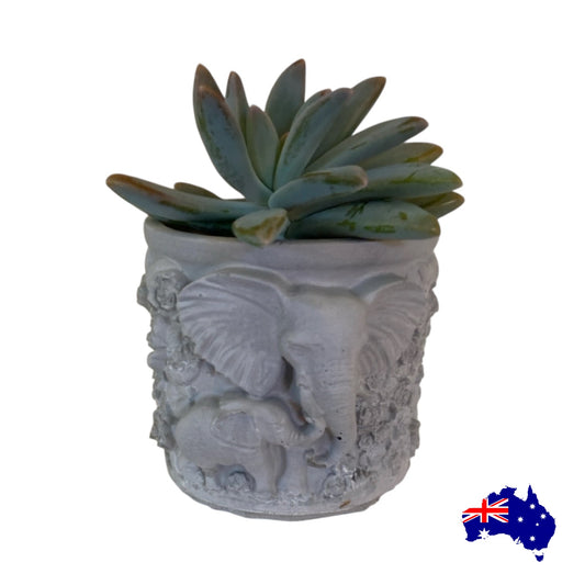 Planter Pot Elephant Mum Baby Aussie Handmade Concrete