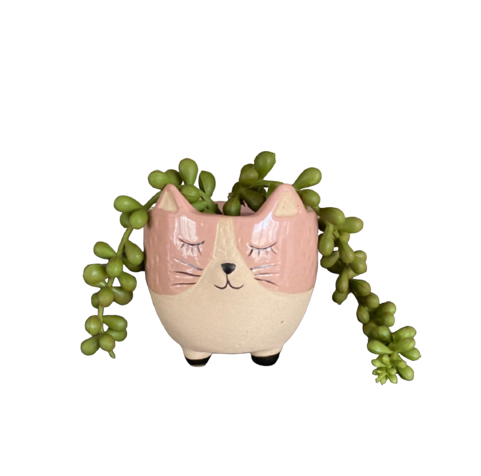 Plant Pot Planter Pink Kitty Cat - The Renmy Store Homewares & Gifts 