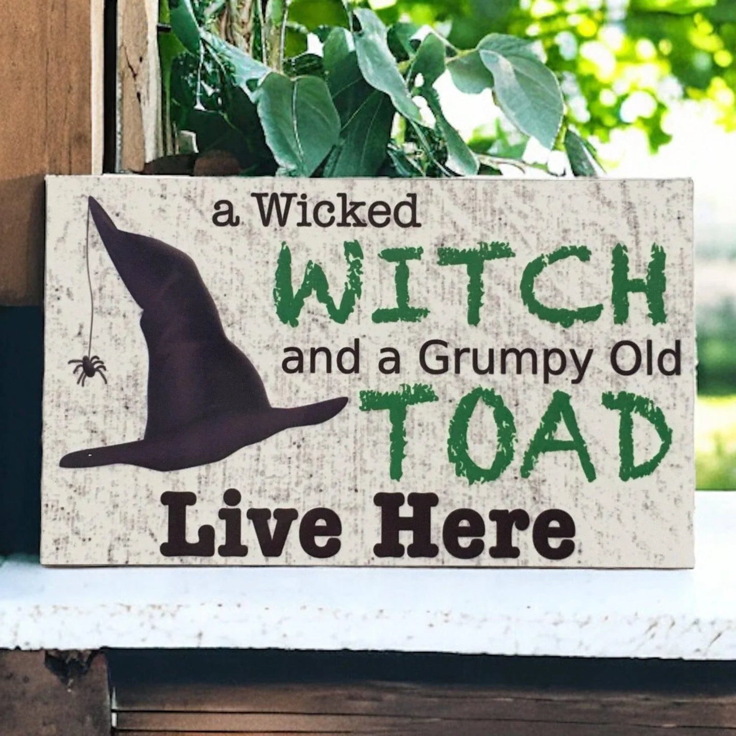 Wicked Witch Grumpy Toad Live Here Sign - The Renmy Store Homewares & Gifts