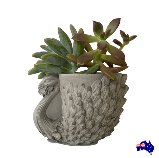 Planter Pot Peacock Bird Aussie Handmade Concrete