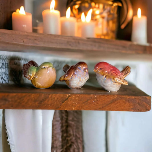 Bird Birds Natural Colour Décor Set Of 3 - The Renmy Store Homewares & Gifts