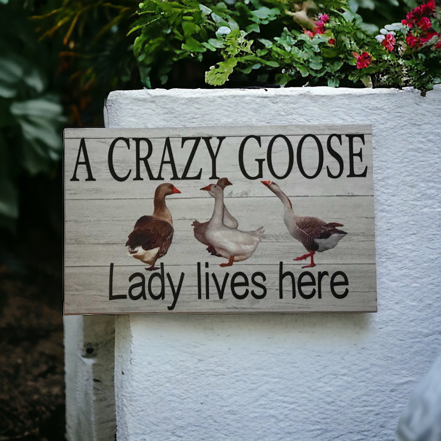 Crazy Goose Geese Lady Lives Here Sign - The Renmy Store Homewares & Gifts 