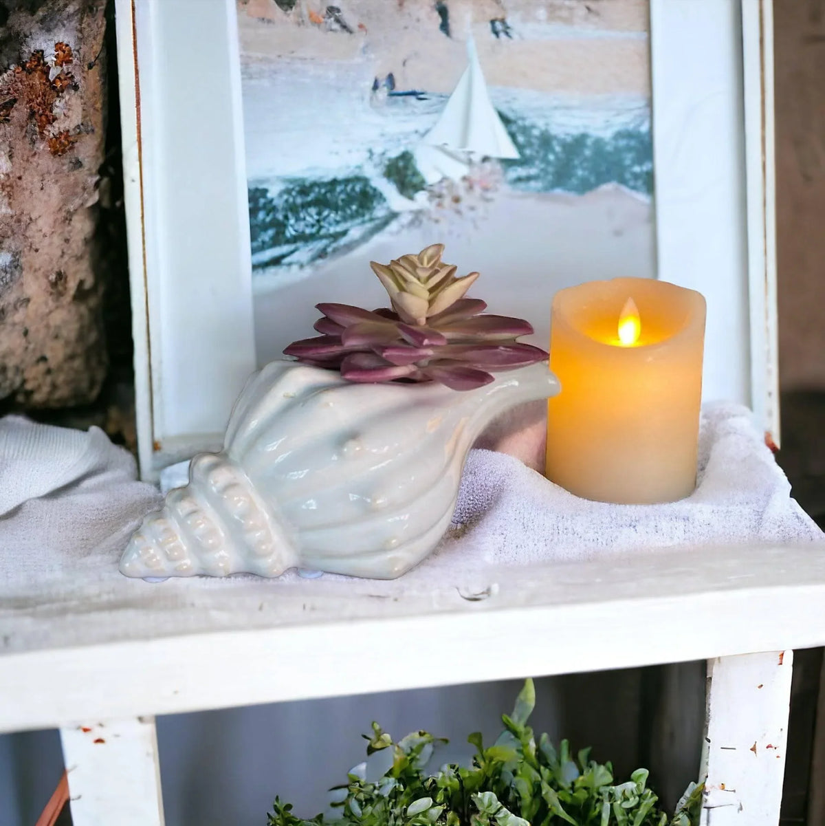 Shell Beach Ocean Planter Pot - The Renmy Store Homewares & Gifts
