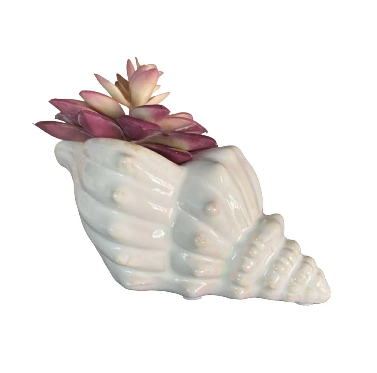 Shell Beach Ocean Planter Pot - The Renmy Store Homewares & Gifts