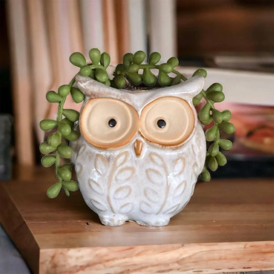 Plant Pot Planter Owl Natural - The Renmy Store Homewares & Gifts