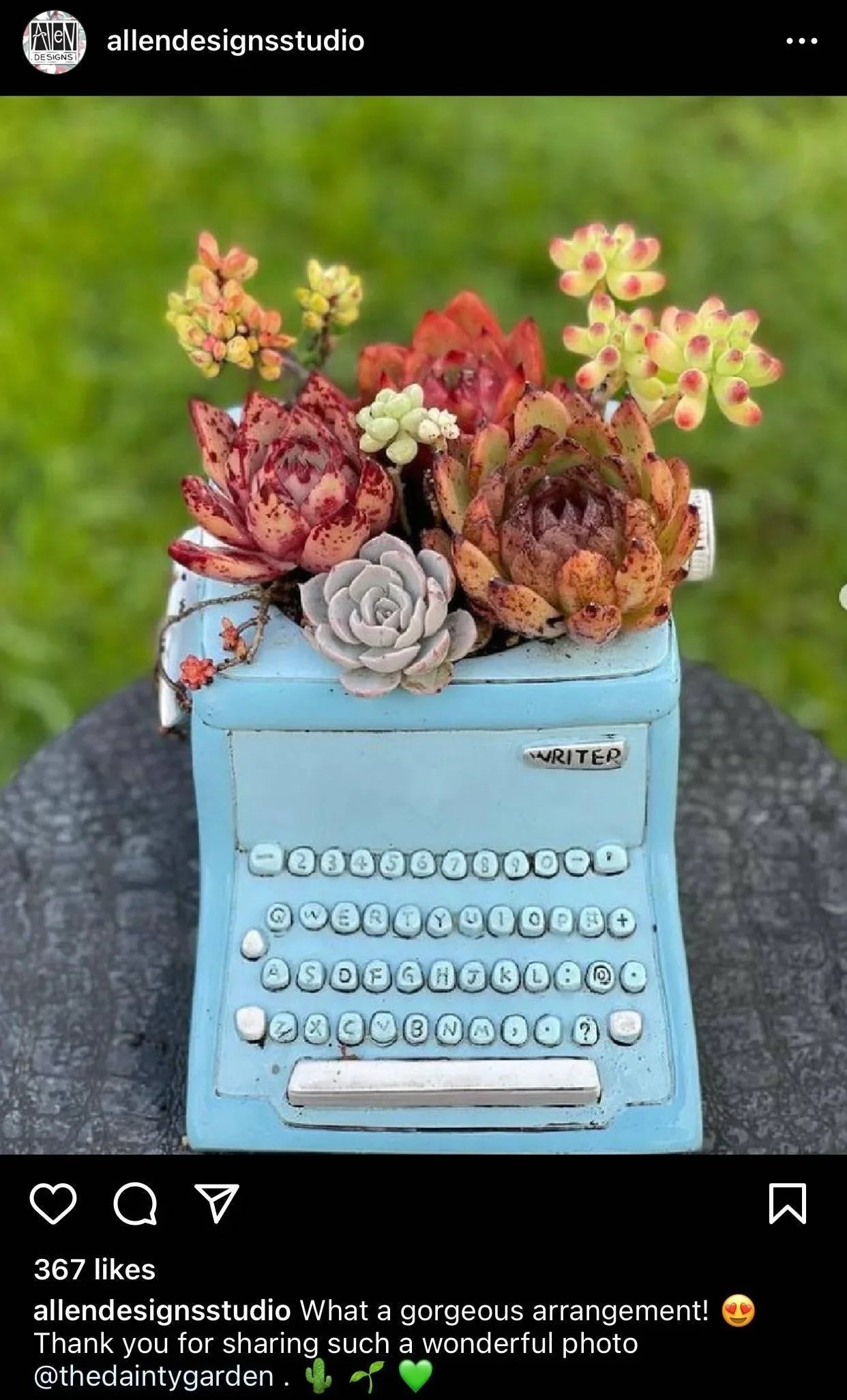 Writer Blue Funky Pot Plant Large - The Renmy Store Homewares & Gifts