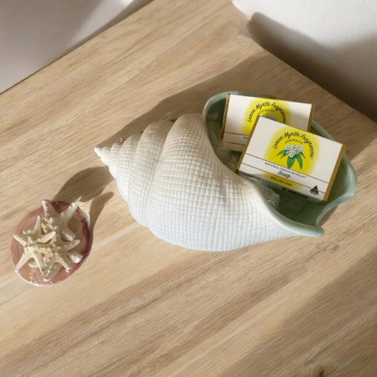 Shell Starfish Coastal with Two Lemon Myrtle Soap Gift Pack - The Renmy Store Homewares & Gifts