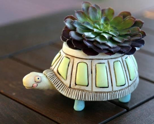 Turtle Pot Planter Small Garden - The Renmy Store Homewares & Gifts